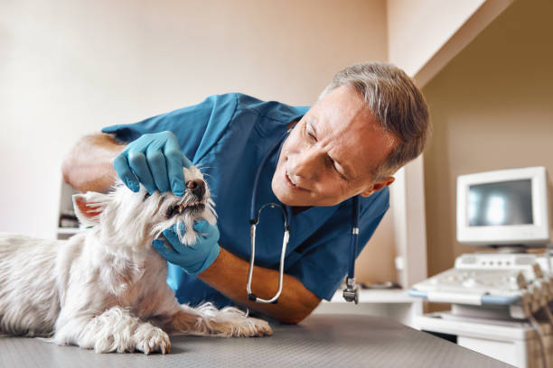 Best Emergency Dental Care for Trauma or Injury in Eagle Lake, TX